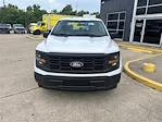 2025 Ford F-150 SuperCrew Cab 4x2 Pickup for sale #SKD63643 - photo 3