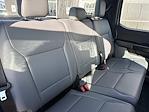 New 2025 Ford F-150 XL SuperCrew Cab for sale #SKF66284 - photo 12