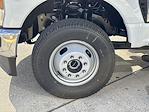 2026 Ford F-350 Crew Cab DRW 4WD Cab Chassis for sale #TED11102 - photo 6