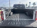 New 2026 Ford F-250 Platinum Crew Cab for sale #TED80794 - photo 10