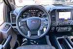 2020 Ford F-150 SuperCrew Cab 4x2 Pickup for sale #LFC64356 - photo 6