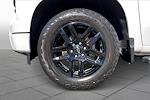 2023 Chevrolet Silverado 1500 Crew Cab RWD Pickup for sale #PG271504 - photo 10