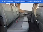 New 2025 Ford F-150 STX SuperCrew Cab for sale #23993 - photo 9