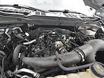 2023 Ford F-150 Super Cab 4WD Pickup for sale #260257A - photo 16
