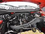 2019 Ford F-150 Super Cab 4WD Pickup for sale #F251130A - photo 16