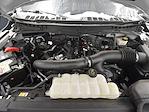 2024 Ford F-150 SuperCrew Cab 4WD Pickup for sale #F26085A - photo 12