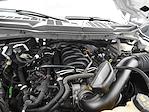 2023 Ford F-150 SuperCrew Cab 4WD Pickup for sale #7268F - photo 16