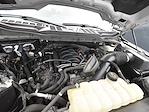 2023 Ford F-150 SuperCrew Cab 4WD Pickup for sale #7269F - photo 16