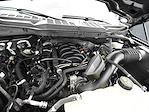2023 Ford F-150 SuperCrew Cab 4WD Pickup for sale #7296F - photo 16