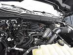 2023 Ford F-150 SuperCrew Cab 4WD Pickup for sale #F251767A - photo 16