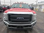 2016 Ford F-250 Regular Cab 4WD Pickup for sale #F26115A - photo 3