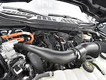 2024 Ford F-150 SuperCrew Cab 4WD Pickup for sale #F26153A - photo 16