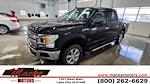 2019 Ford F-150 SuperCrew Cab 4WD Pickup for sale #32171AA - photo 1