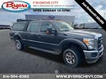 2016 Ford F-350 Crew Cab SRW 4x4 Pickup for sale #C21822A - photo 1