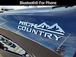 2024 Chevrolet Silverado 1500 Crew Cab 4WD Pickup for sale #C21946 - photo 11