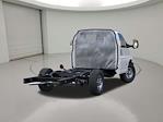 2025 Chevrolet Express 3500 Regular Cab RWD Cutaway for sale #C253085 - photo 2