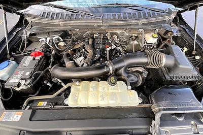 Used 2023 Ford Expedition - photo 1