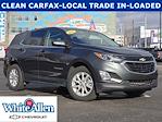 2020 Chevrolet Equinox FWD SUV for sale #51790T - photo 1
