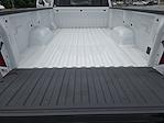 2025 Chevrolet Silverado 1500 Regular Cab 4WD Pickup for sale #C25018 - photo 12