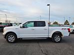 2019 Ford F-150 SuperCrew Cab 4WD, Pickup for sale #1F40569A - photo 6