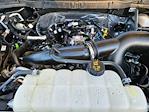 2024 Ford F-150 SuperCrew Cab 4WD Pickup for sale #1F40801A - photo 33