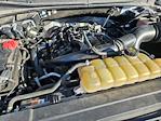 2020 Ford F-150 SuperCrew Cab 4WD Pickup for sale #1F41286A - photo 33