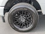 2020 Ford F-250 Crew Cab 4WD Pickup for sale #1F50074A - photo 10