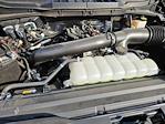 2024 Ford F-150 SuperCrew Cab 4WD Pickup for sale #1F50386A - photo 33