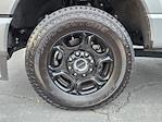 Used 2024 Ford F-350 XLT Crew Cab 4WD SRW Pickup for sale #1F50576A - photo 12