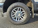 2017 Ford F-350 Crew Cab SRW 4WD Pickup for sale #1F50609A - photo 10