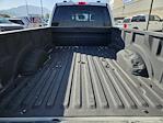 2022 Ford F-350 Crew Cab DRW 4WD Pickup for sale #1F50678A - photo 30