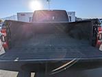 2019 Ram 2500 Mega Cab 4WD Pickup for sale #1F50737A - photo 13
