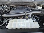 2023 Ford F-150 SuperCrew Cab 4WD Pickup for sale #1F51190A - photo 32