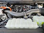 2024 Ford F-150 SuperCrew Cab 4WD Pickup for sale #1F51225A - photo 32
