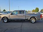 2024 Ford F-350 Crew Cab SRW RWD Pickup for sale #1F60013A - photo 6
