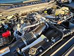 2025 Ford F-350 Crew Cab SRW 4WD Pickup for sale #1F60014A - photo 33