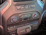 2025 Chevrolet Silverado 3500 Regular Cab SRW 4WD Pickup for sale #1F60054A - photo 20