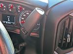 2025 Chevrolet Silverado 3500 Regular Cab SRW 4WD Pickup for sale #1F60054A - photo 22