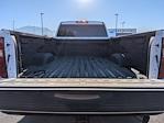 2025 Chevrolet Silverado 3500 Regular Cab SRW 4WD Pickup for sale #1F60054A - photo 24