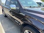 2019 Ford F-150 SuperCrew Cab 4WD Pickup for sale #1FD2618A - photo 4