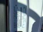 New 2025 Ford F-150 XL Regular Cab 4WD Pickup for sale #1FD2664 - photo 15