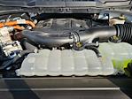 2023 Ford F-150 SuperCrew Cab 4WD Pickup for sale #1FP0014 - photo 34