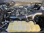 2020 Ford F-150 SuperCrew Cab 4WD Pickup for sale #1FP9856 - photo 30