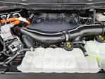 2023 Ford F-150 SuperCrew Cab 4WD Pickup for sale #1FP9963 - photo 32