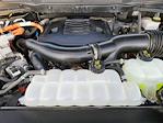 2023 Ford F-150 SuperCrew Cab 4WD Pickup for sale #1FT2829B - photo 33