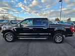 2023 Ford F-150 SuperCrew Cab 4WD Pickup for sale #1FT2829B - photo 6