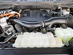 2023 Ford F-150 SuperCrew Cab 4WD Pickup for sale #1FT2841A - photo 32