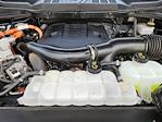 2023 Ford F-150 SuperCrew Cab 4WD Pickup for sale #1FT2841M - photo 32