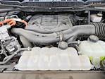 2023 Ford F-150 SuperCrew Cab 4WD Pickup for sale #1FT2866X - photo 32
