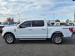 2023 Ford F-150 SuperCrew Cab 4WD Pickup for sale #1FT2878A - photo 6